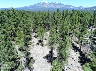 2319 N Fremont Blvd, Flagstaff, AZ 86001