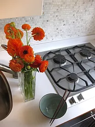 Rented by Nolita Group