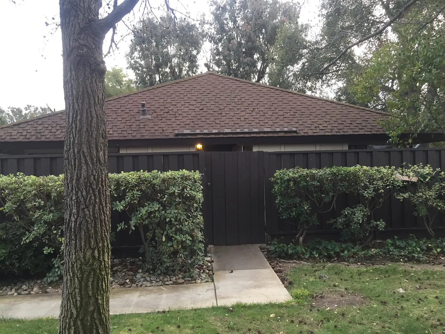 5062 Pinetree Ter photo 1