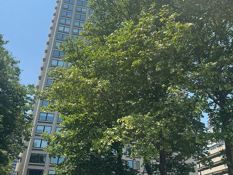 65 E India Row #A31 — Photo 9