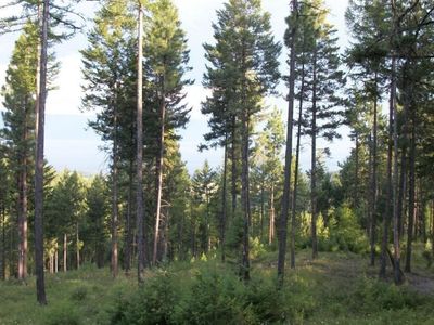 Nkn Peach Park Loop, Rollins, MT, 59931