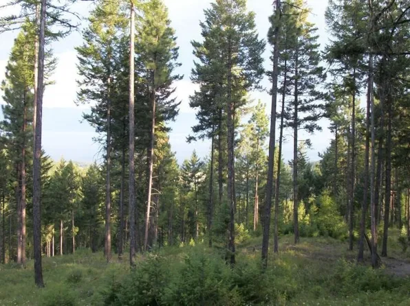 Nkn Peach Park Loop, Rollins, MT 59931