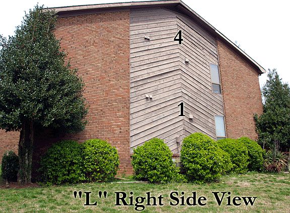 2nd image of 419 Oriole Dr APT L2
