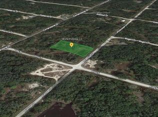 34379 Primrose Ln, Webster, FL 33597