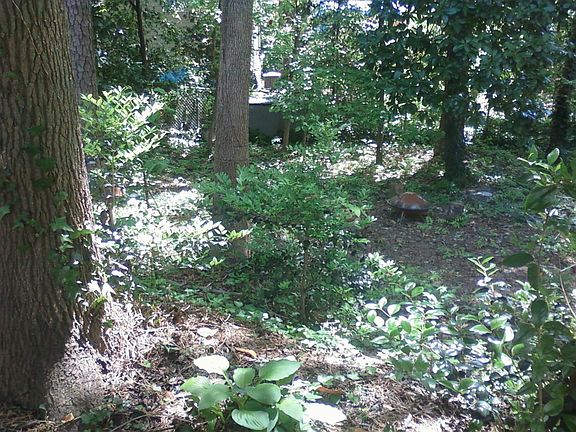 fire pit area