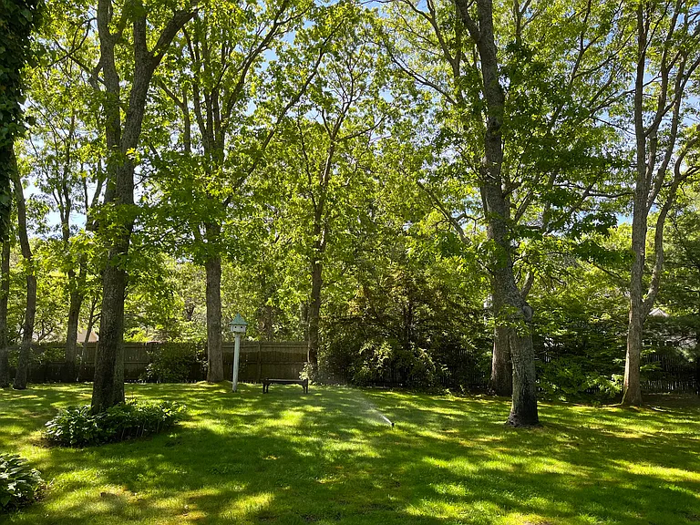 36 Lynn Ave — Photo 21