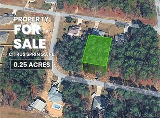 1217 W Fan Dr, Citrus Springs, FL 34434