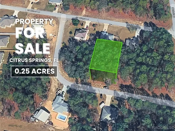 1217 W Fan Dr, Citrus Springs, FL 34434
