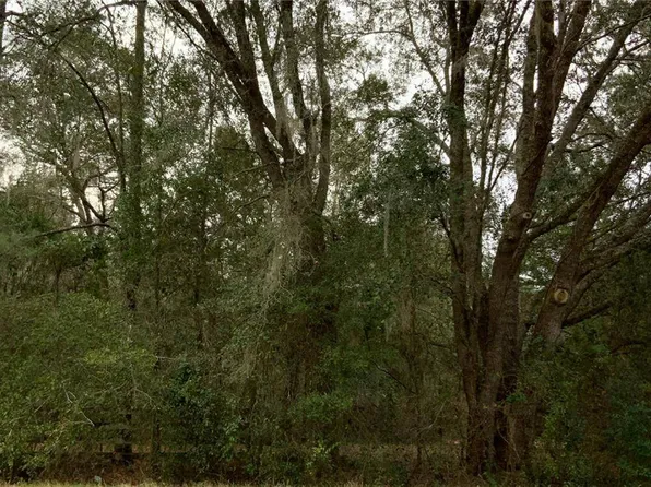 SW 75th St #29, Gainesville, FL 32608