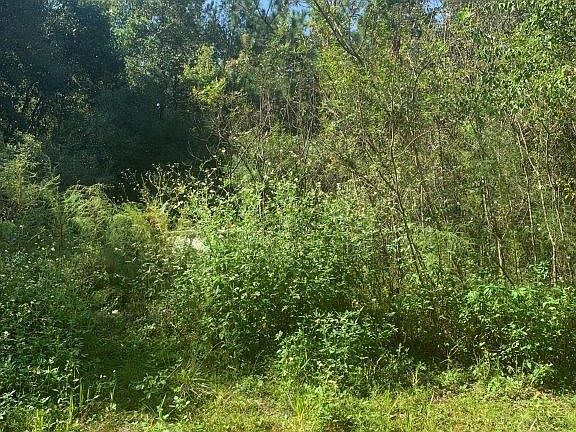 3rd image of 4133 Osceola Trl