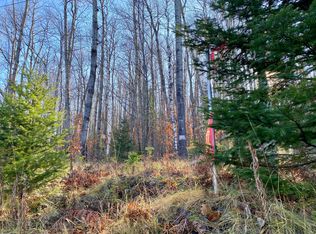 Lots 36 39 Chemin De La Montagne, Wolverine, MI 49799