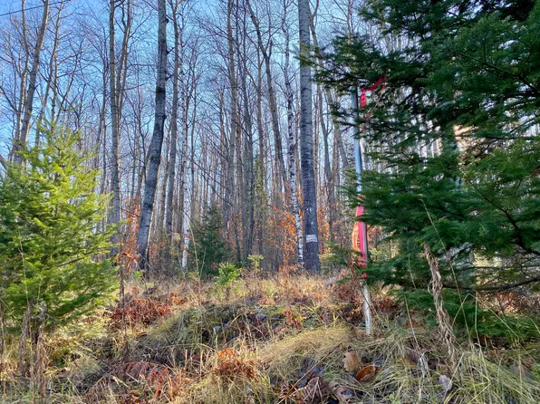 Lots 36 39 Chemin De La Montagne, Wolverine, MI 49799