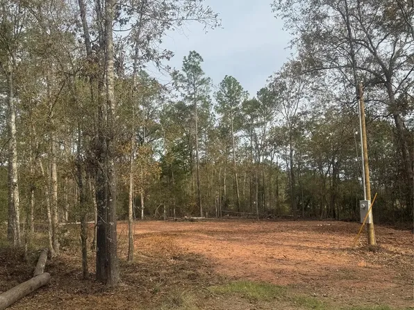 197 Alta Vista Dr, Livingston, TX 77351