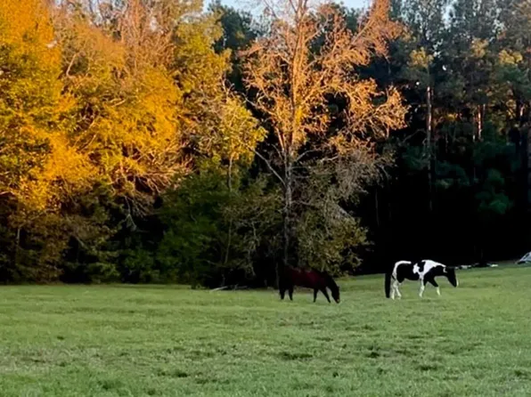 9953 Chestnut Ct, Montgomery, TX 77316