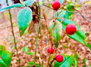 3216 Leafwood Pl SW, Decatur, AL 35603