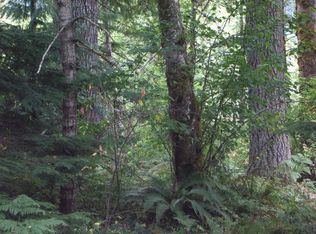 0 Osborn Rd, Ashford, WA 98304