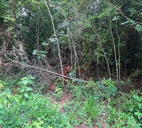 4th image of 14388 Baxter Rd