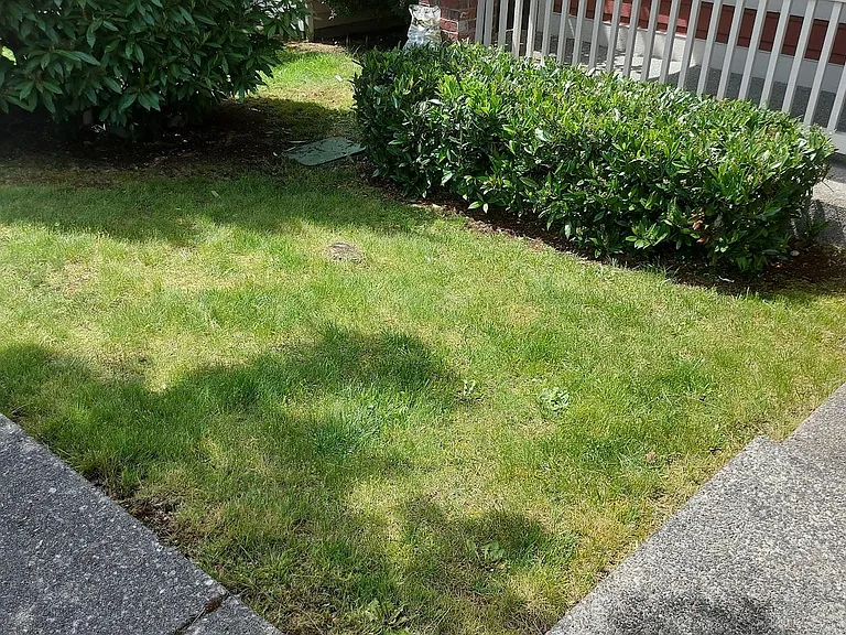 9837 223rd Pl NE — Photo 26