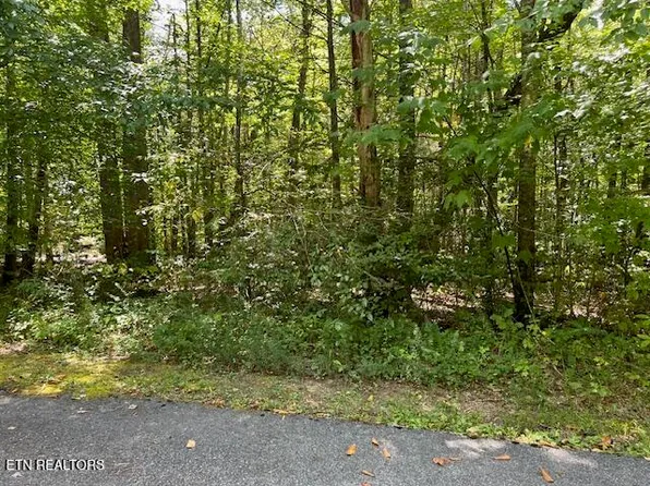 Ardell Way, Cosby, TN 37722