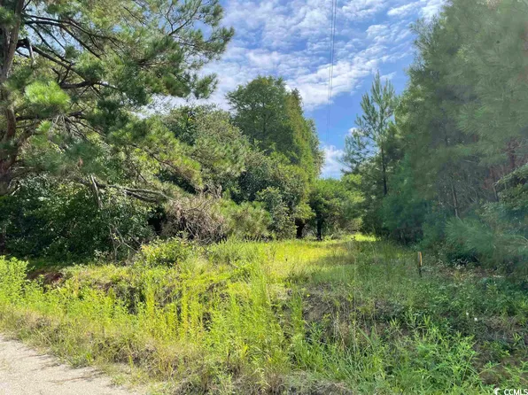 TBD Olga Ln. #1 Acre, Loris, SC 29569