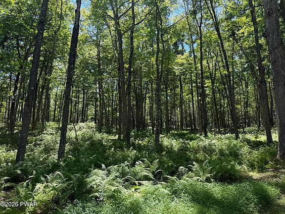 4th image of LOT 14 Woodlyn Acres Rd