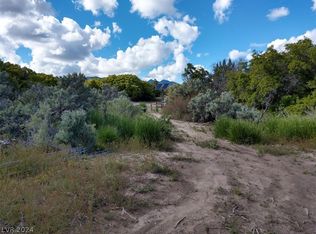 Bennett Springs Rd, Pioche, NV 89043