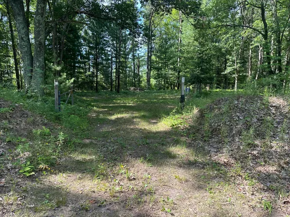 802 W Beaver Rd, Bitely, MI 49309