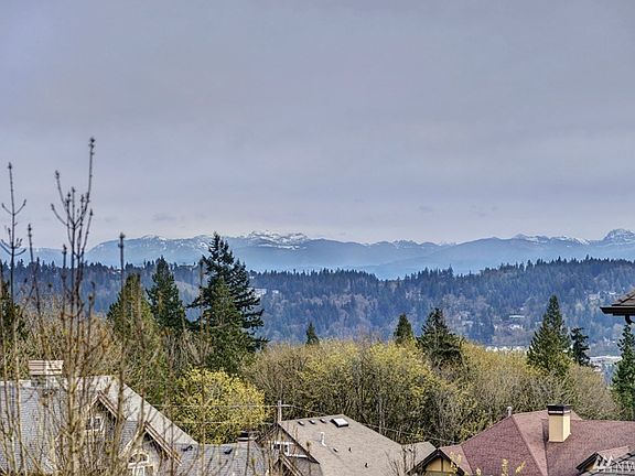 View shot is from next door neighbor house - due to smoke we couldn't capture the view on photo day. This is what you can expect on a clear day though! 
