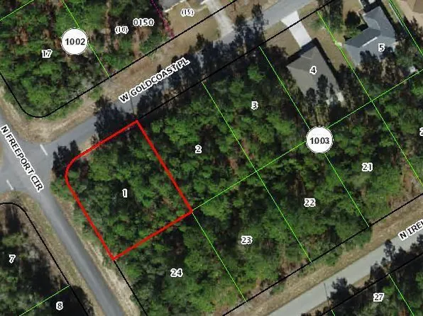 156 W Goldcoast Place, Citrus Springs, FL 34434