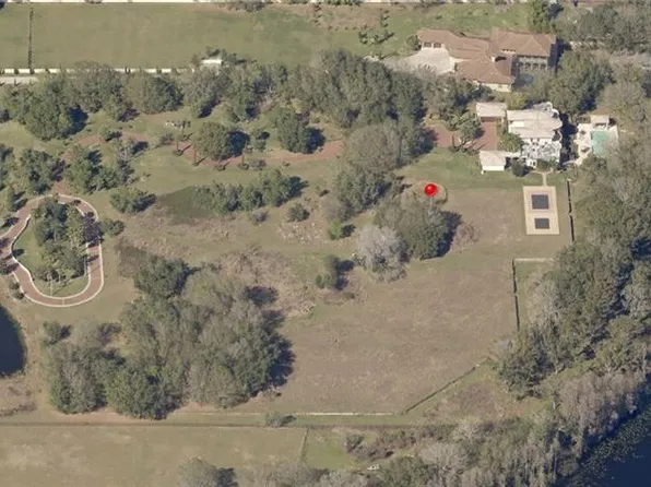 113 Bellamere Palms Ct, Lutz, FL 33549