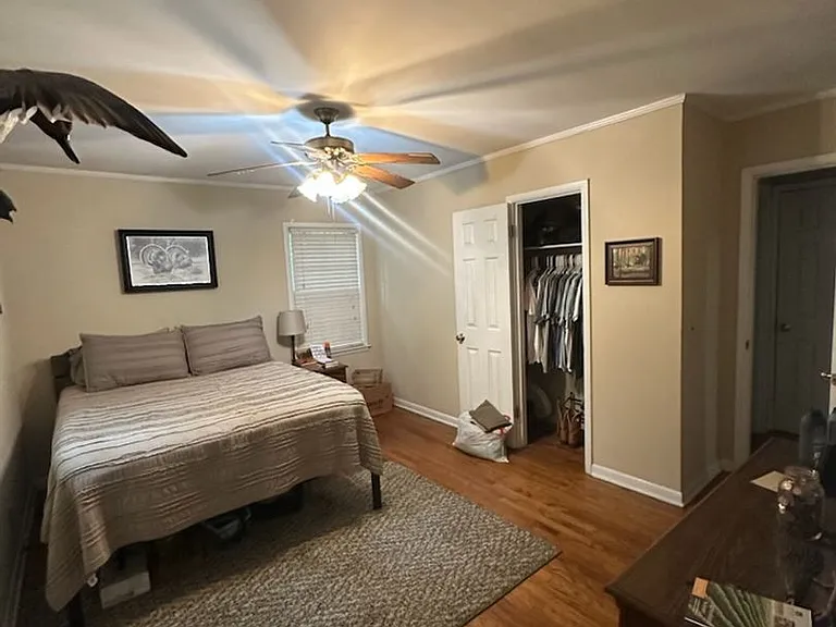 1004 E Magnolia Ave — Photo 3