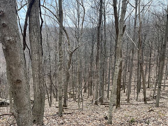 4th image of Hickson Run Rd