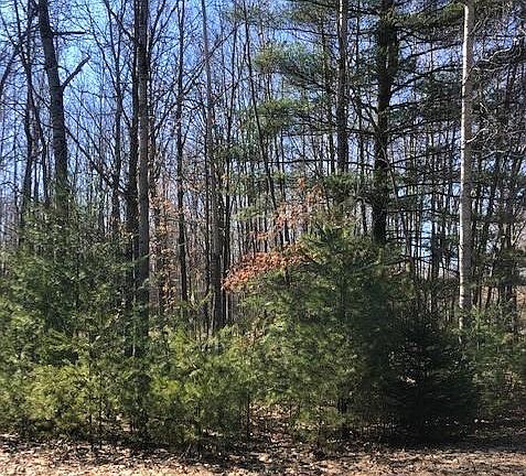 2nd image of 10974 Dobbyn Dr