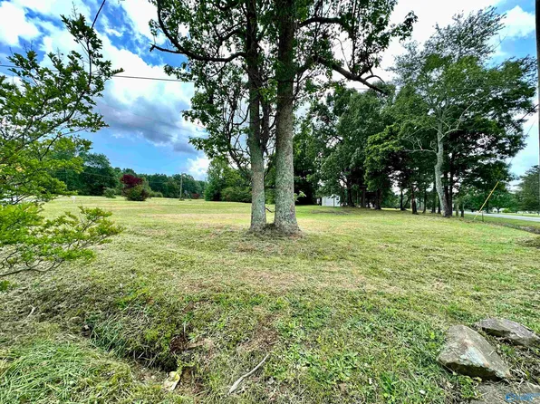 LOT 1 County Road 1009, Fort Payne, AL 35968