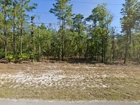 3641 W Birds Nest Dr, Beverly Hills, FL 34465