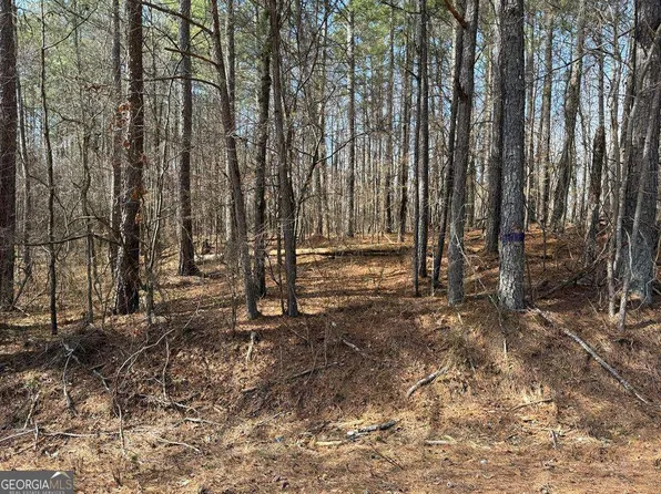 0 County Road 60, Heflin, AL 36264