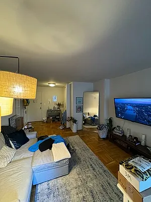 Rented by Manhattan Flats | media 9