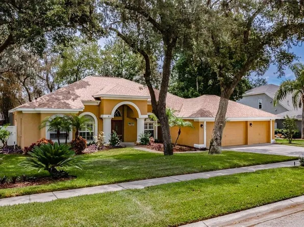 10131 Paddock Oaks Dr, Riverview, FL 33569