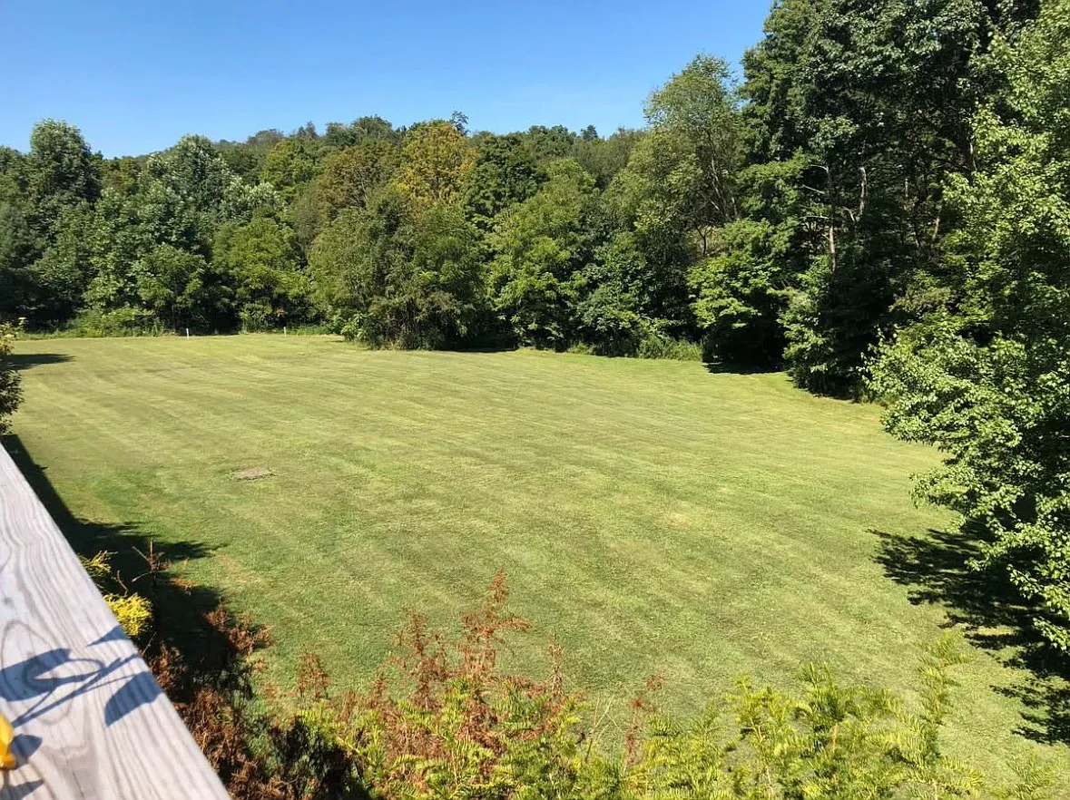 1 bed, $825 — Photo 2
