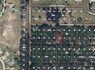 2019 E Four Seasons Ln, Inverness, FL 34453