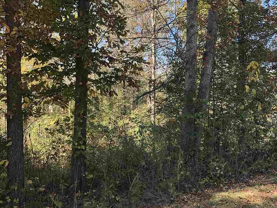 2nd image of 165 Valleydale Dr
