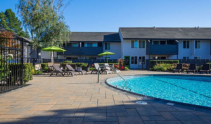 Sparkling Swimming Pool