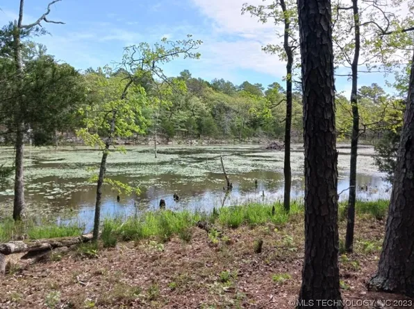 372 Lillie Trl, Moyers, OK 74557