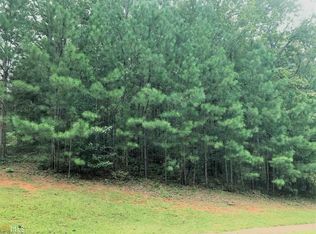 104 Hidden Branches Ln, Lagrange, GA 30240