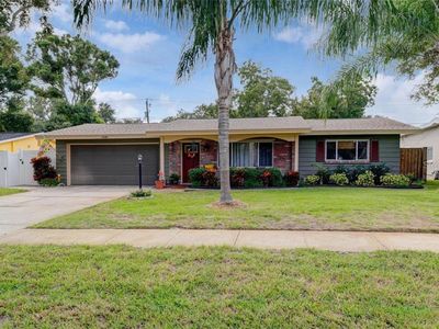 1340 Williams Dr, Clearwater, FL, 33764