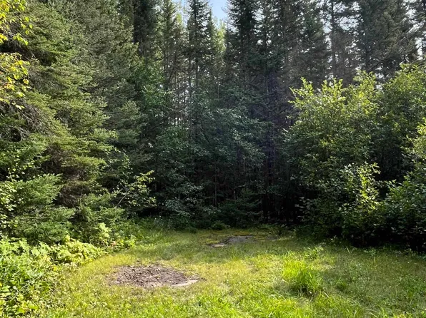 Xx S Lost Lake Rd, Hovland, MN 55606