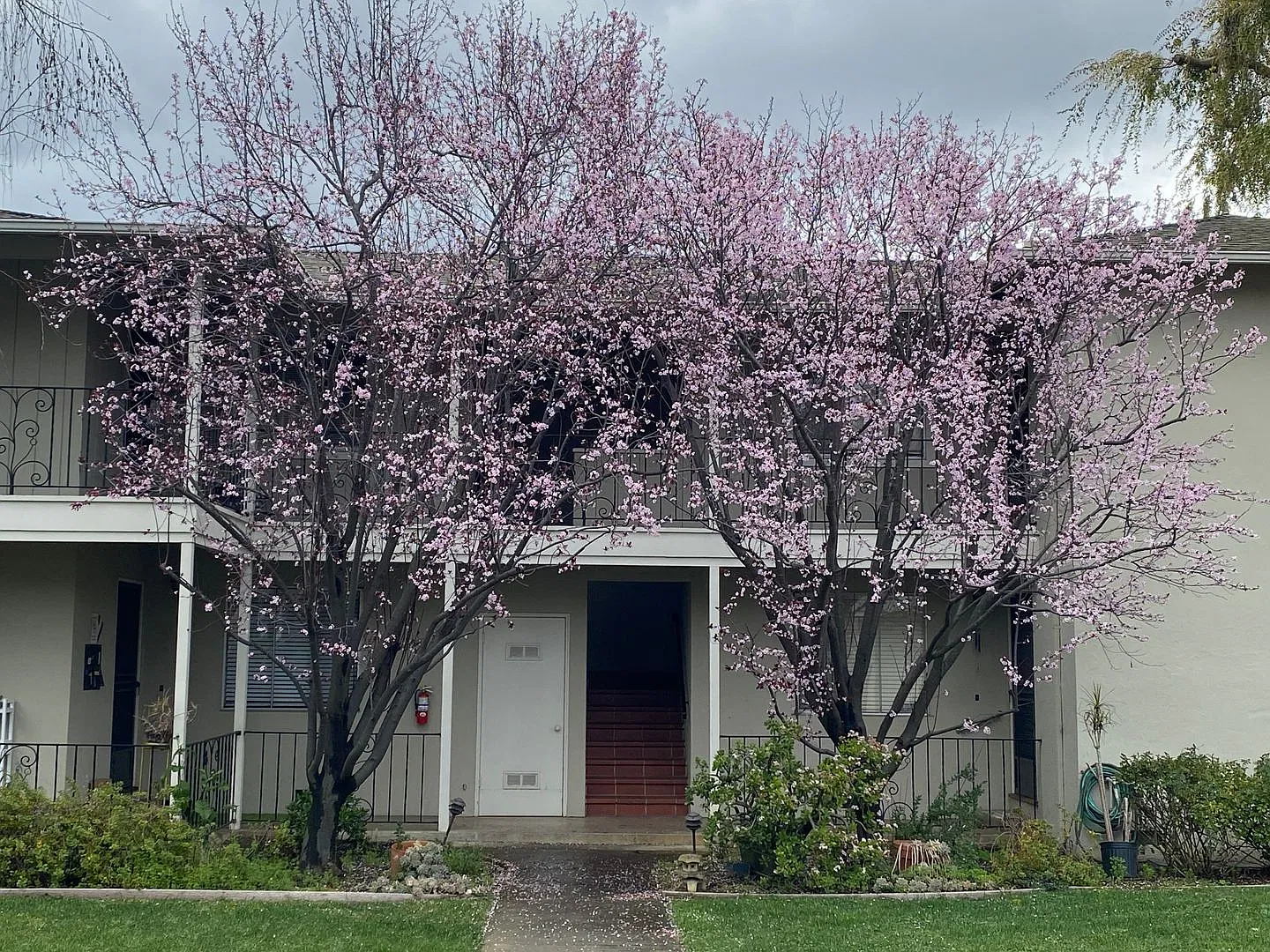 Kent 48 — Photo 1