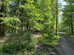 0 Devita Rd, Sandyston Twp., NJ 07826