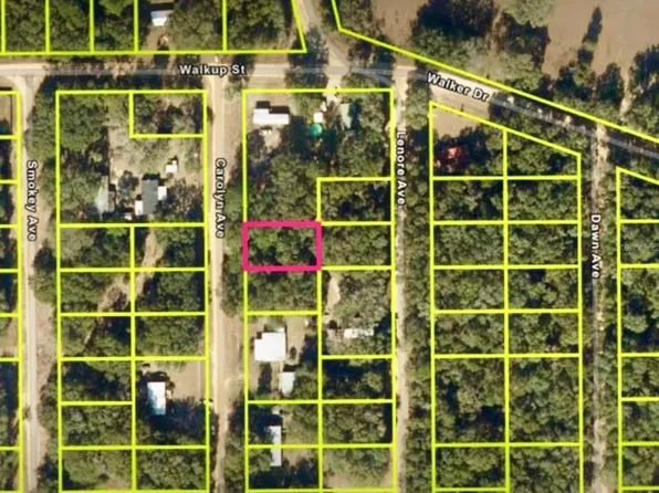 Carolyn Ave Lot 4, Interlachen, FL 32148