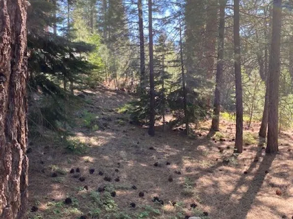 7371 Sharon Way, Portola, CA 96122